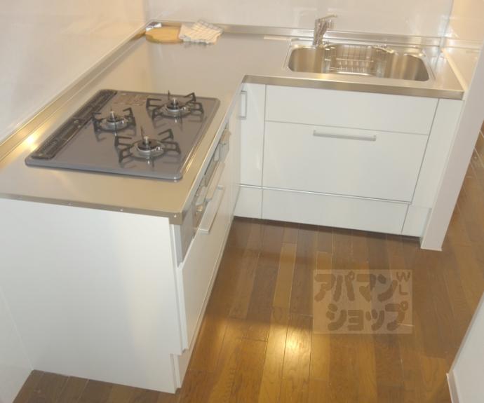 【グランドハイツ洛南】間取