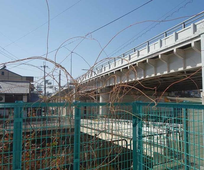 【Ｍｉｒｅｉ東福寺】