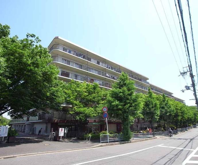 【コトーハイツ伏見稲荷 A棟】間取