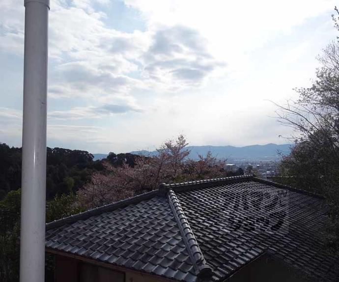【シティパレス京都東山】間取