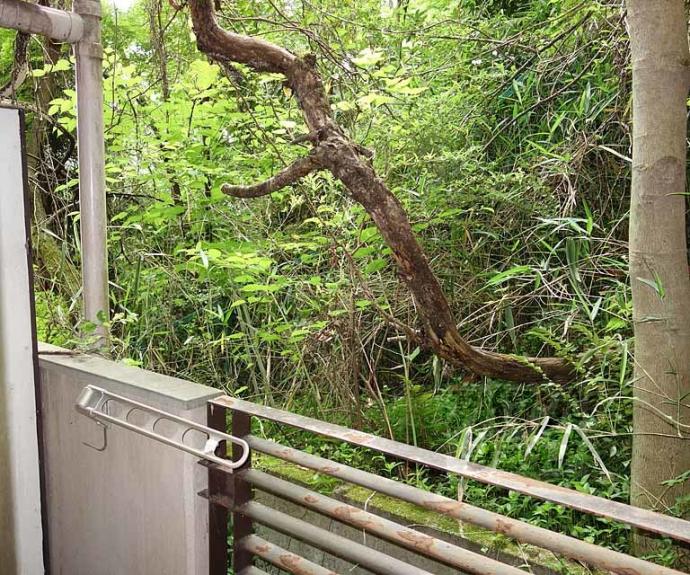 【シティパレス京都東山】間取