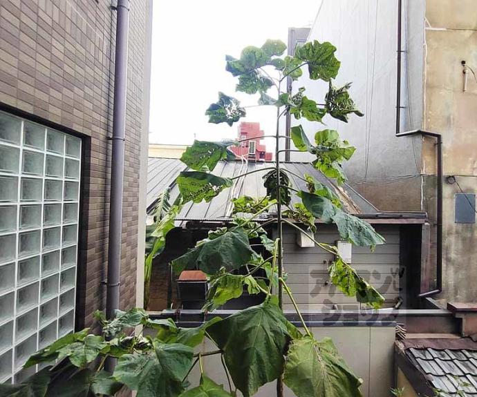 【サムティ京都祇園】間取