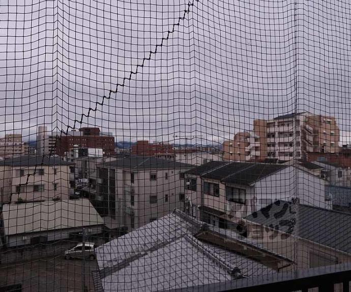 【西大路ハイツ】間取