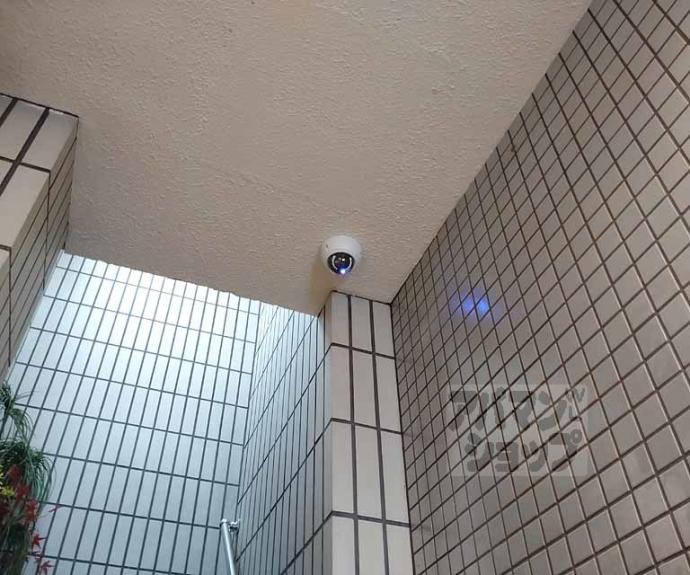 【ピースフル京都】間取