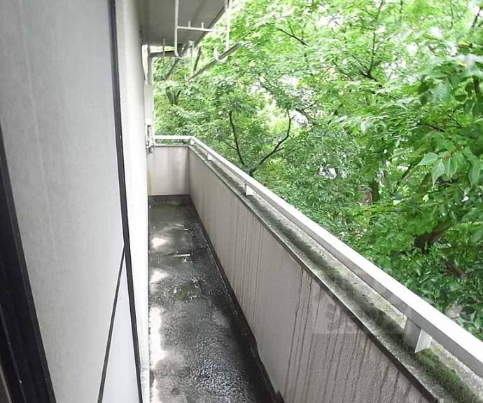 【第８パールハイツ安井】間取