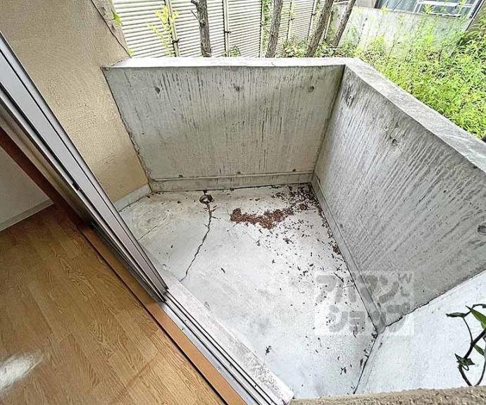 【カーサ大和大路】間取