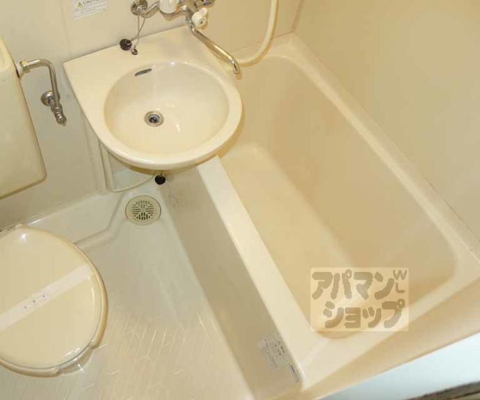 【パティオサカタ】間取