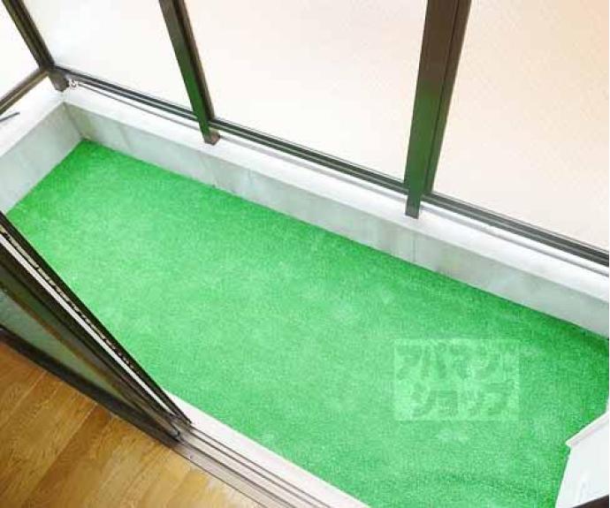 【メゾン・シバタ】間取