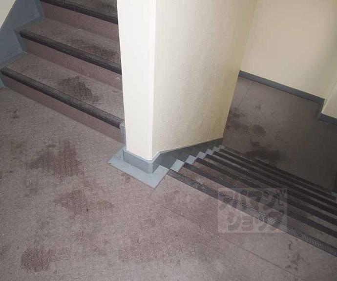 【シャロム吉祥院】間取