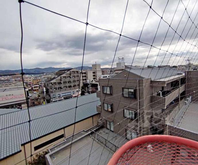 【ジュネス神楽田】間取