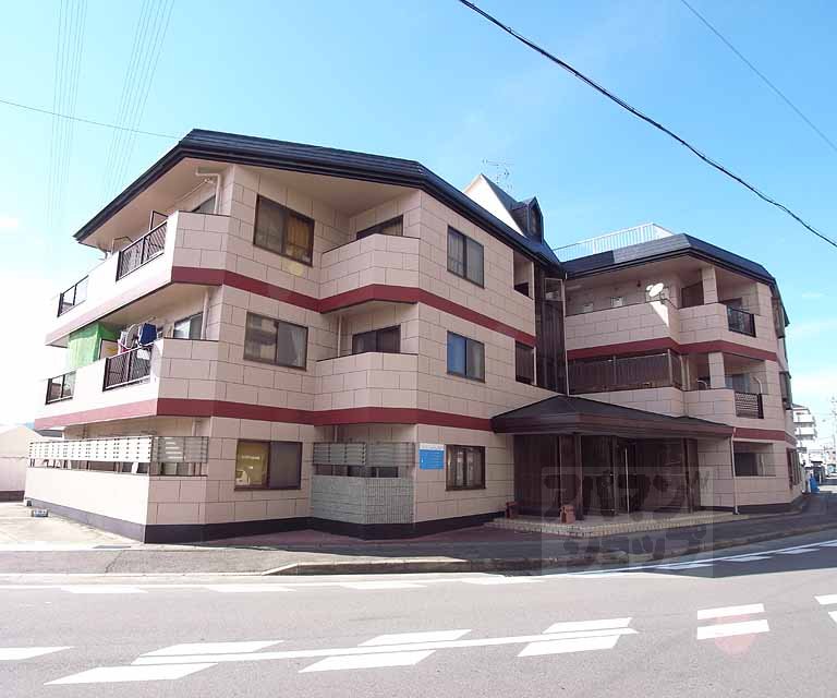 ハイツリーフラット