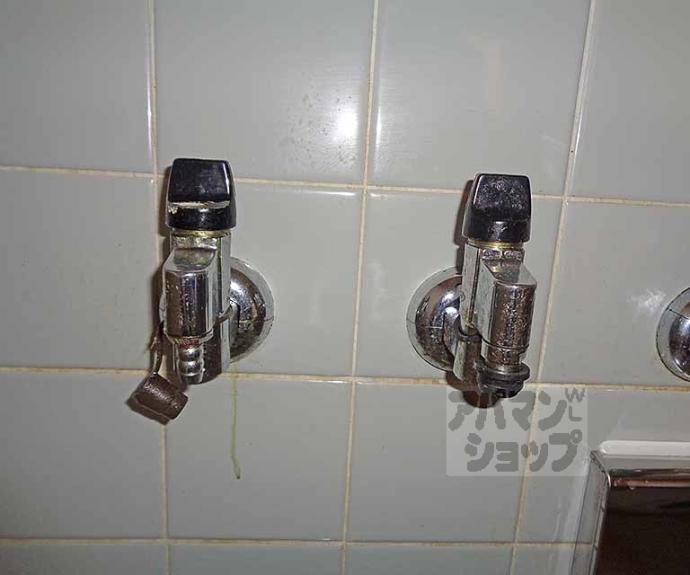 【東英ハウス堂ノ川　Ａ棟】間取