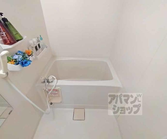 【ドムスタレイア】間取