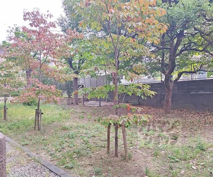 【深草サニーハイツ】間取
