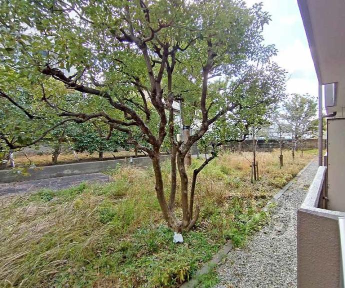 【深草サニーハイツ】間取