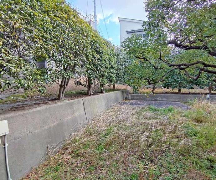 【深草サニーハイツ】間取