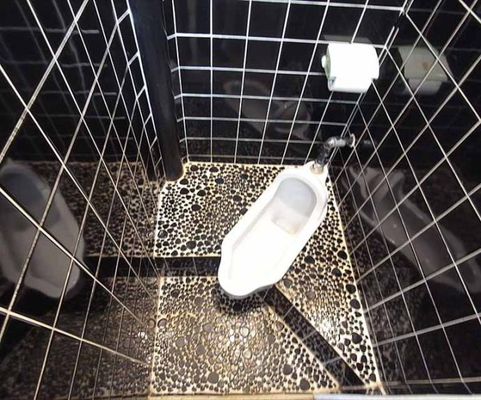 【日生ハイツＢ棟】間取