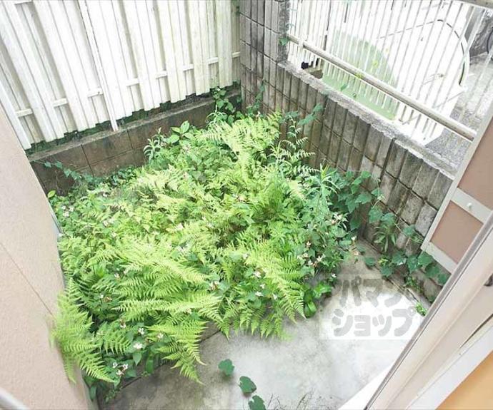 【カーサ・クローバー】間取