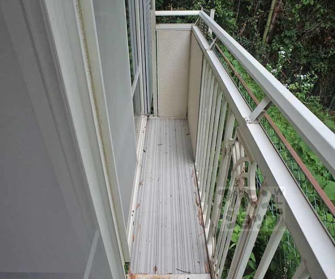 【シェモア鷺森】間取