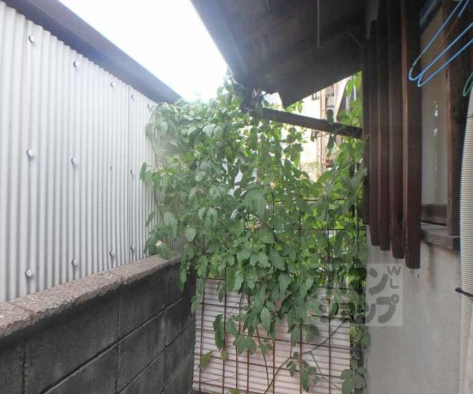 【開町貸家】間取