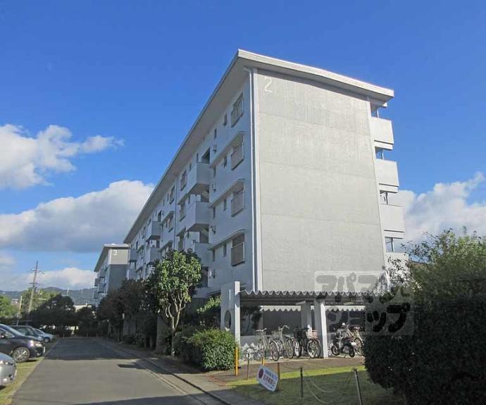 【宇治おぐら住宅 5棟】間取