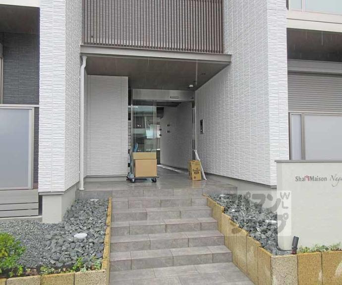 【ShaMaison Nagaike B棟】間取