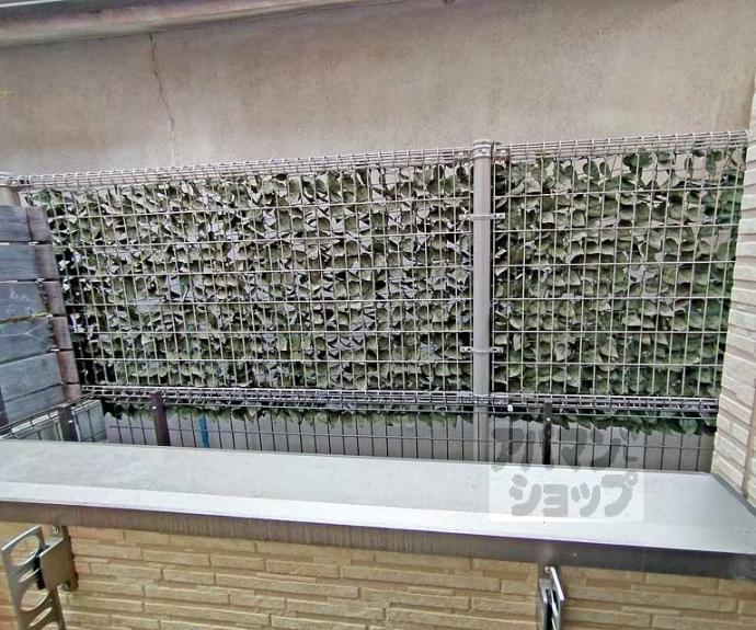 【肥後町ハイツ】間取