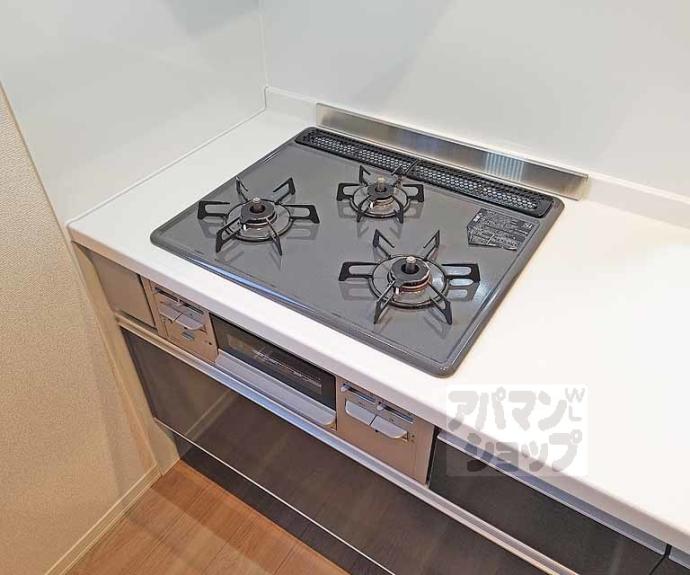 【シャーメゾンＴａｎｉｇｕｃｈｉ】間取