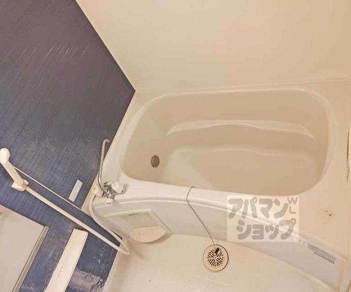 【パインフォート】間取