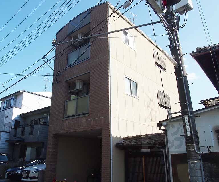 セザール京洛