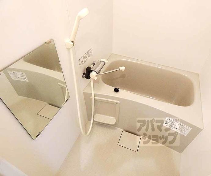 【メゾン・アイビー】間取