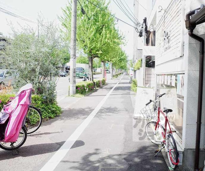 【北区大将軍川端町79貸家】間取
