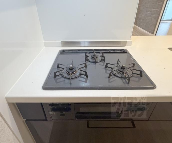 【グリシーヌ御所西Ⅰ】間取