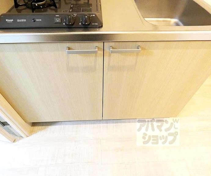 【Ｒｉｌａｓｓａ　ＡＰＭ】間取