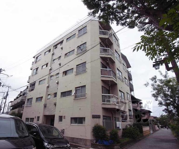 【マンション聚楽】間取