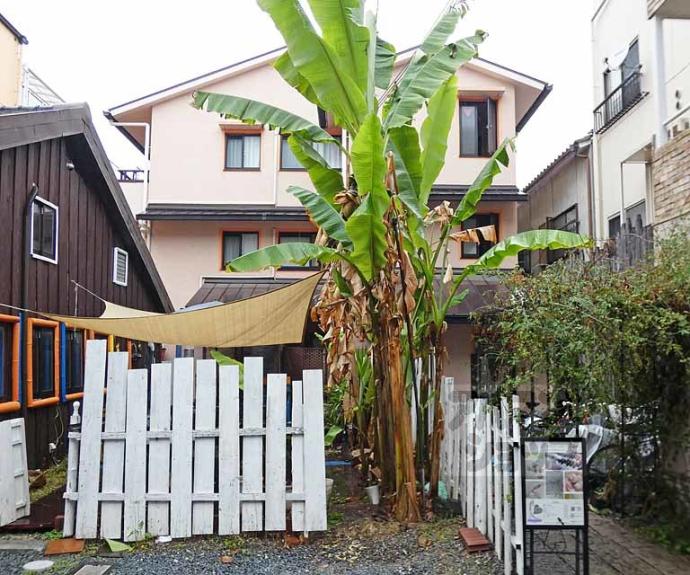 【ゼラフシャン】間取