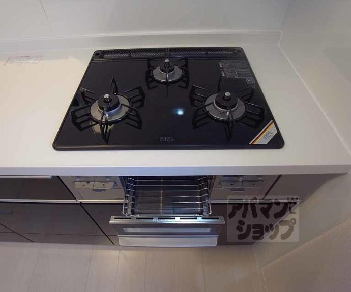 【テラパークス　弐番館】間取