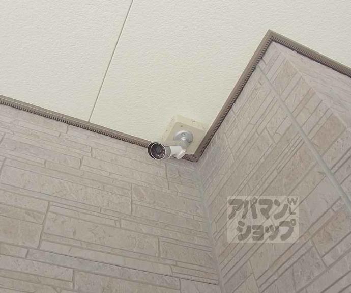 【maison mint】間取