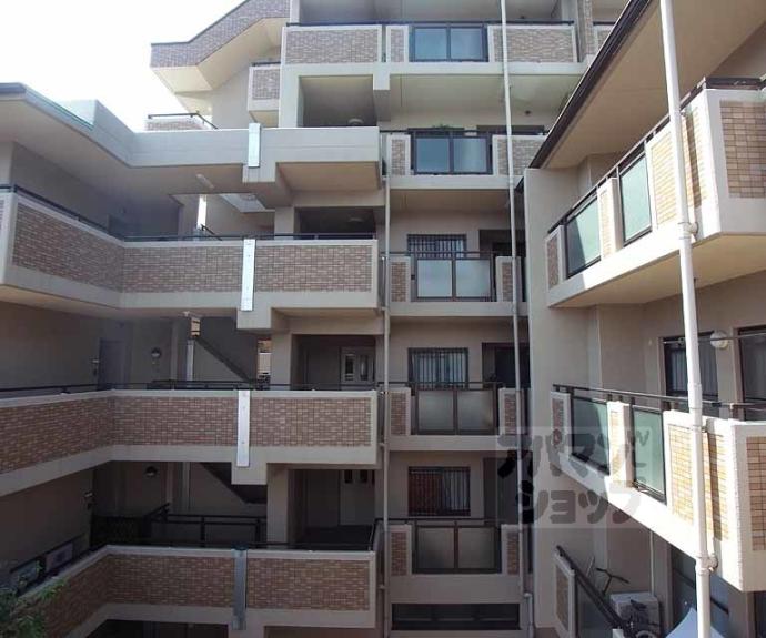 【maison mint】間取