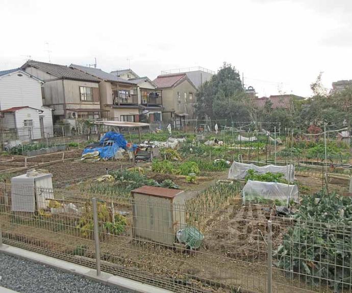 【シンフォニー久津川】間取