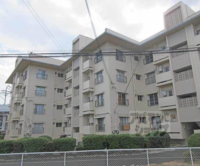 【淀団地第一住宅　２棟】間取