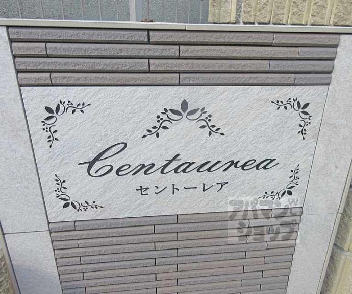 【セントーレア】間取