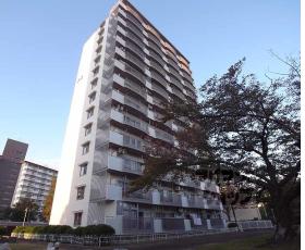 向島ニュータウン　２街区　Ｄ棟：