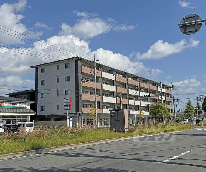 【セントフローレンスパレス桂　ＴＨＥ　ＷＥＳＴ】間取