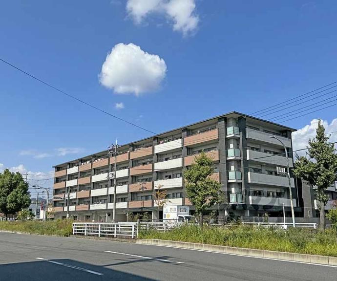 【セントフローレンスパレス桂　ＴＨＥ　ＷＥＳＴ】間取