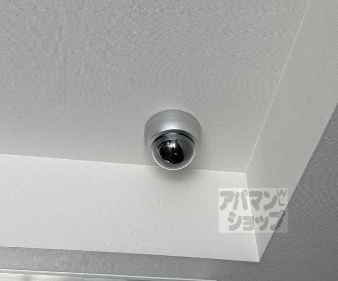 【セントフローレンスパレス桂　ＴＨＥ　ＷＥＳＴ】間取