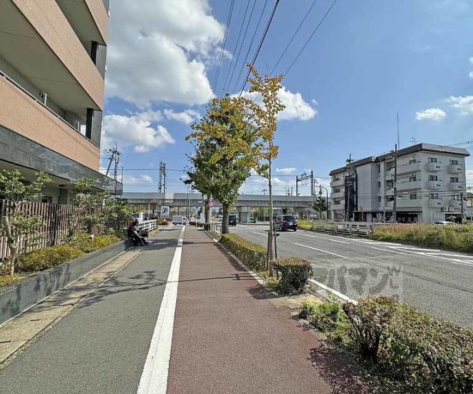 【セントフローレンスパレス桂　ＴＨＥ　ＷＥＳＴ】間取