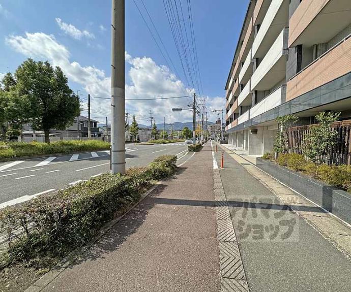 【セントフローレンスパレス桂　ＴＨＥ　ＷＥＳＴ】間取