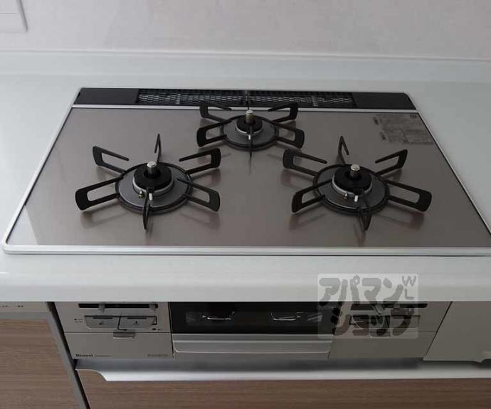 【パデシオン長岡京西山天王山駅前】間取