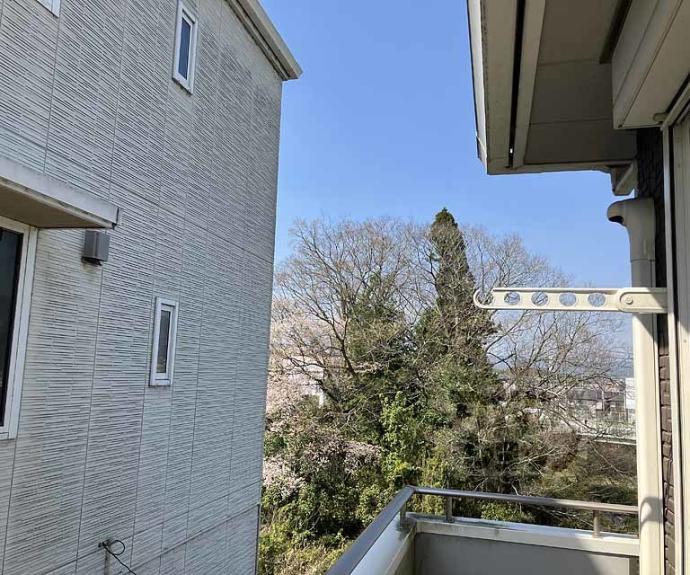 【サザンヴェルデ】間取